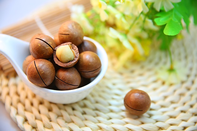 macadamia nuts 1098170 640