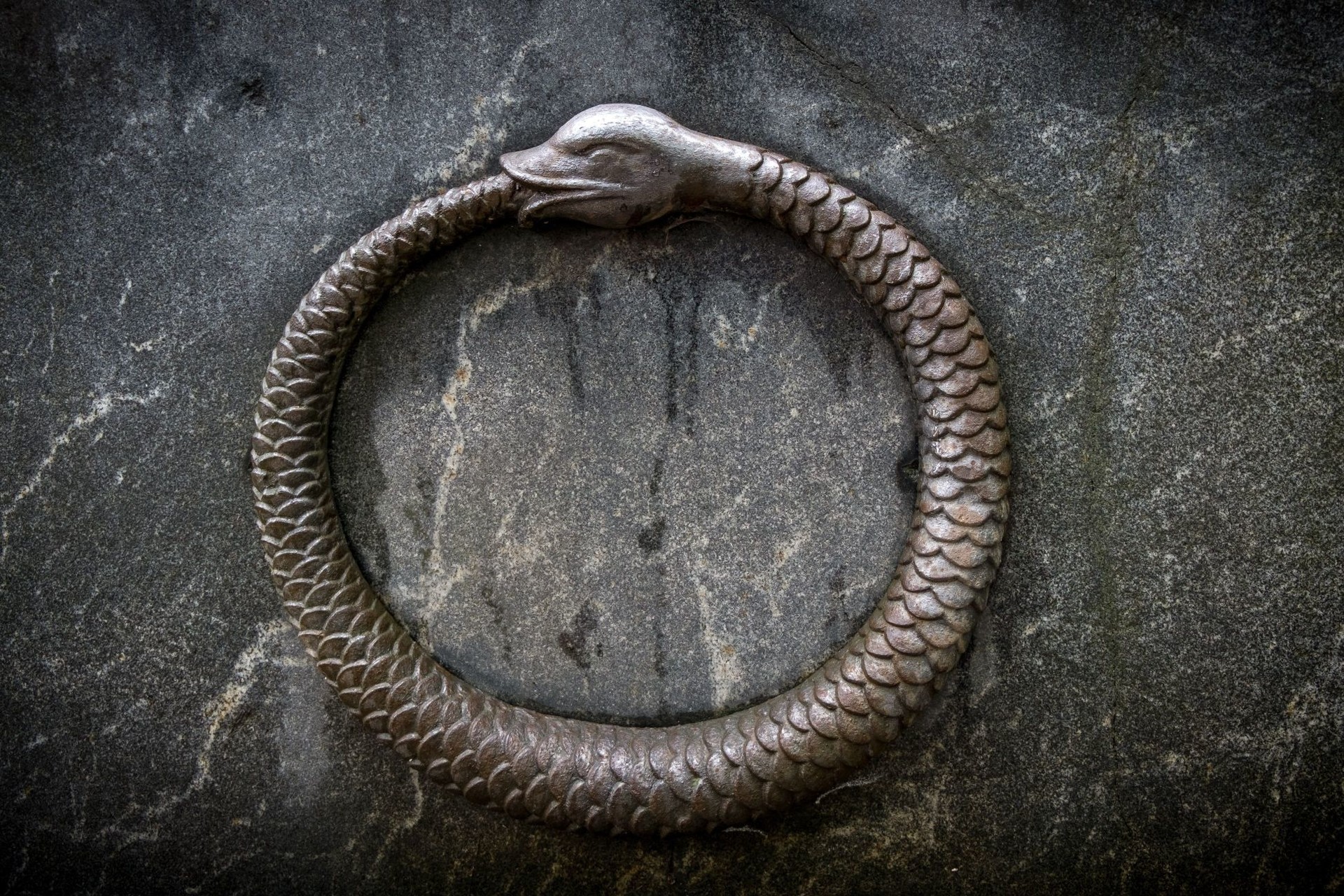 Jedna firma kanibalizuje druhou a uživatelé jsou mezi nimi jako mezi dvěma mlýnskými kameny ouroboros small jpg