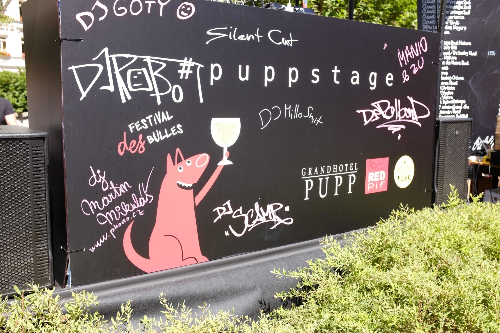 pupp punk stage