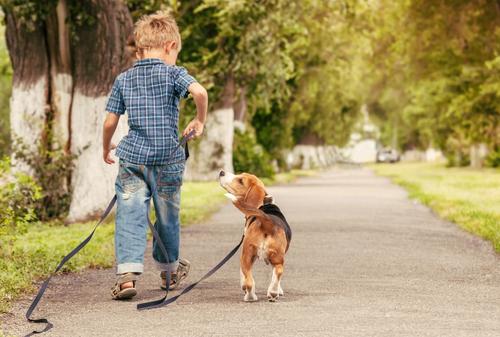 Děti se díky domácímu mazlíčkovi naučí zodpovědnosti. zvire shutterstock 174975020