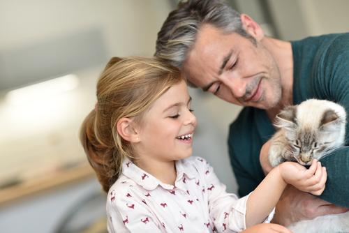 Pokud si nejste jistí, že byste zvládli každodenní venčení pejska, pořiďte svým ratolestem méně náročnější kočku nebo třeba králíčka. zvire shutterstock 394589836